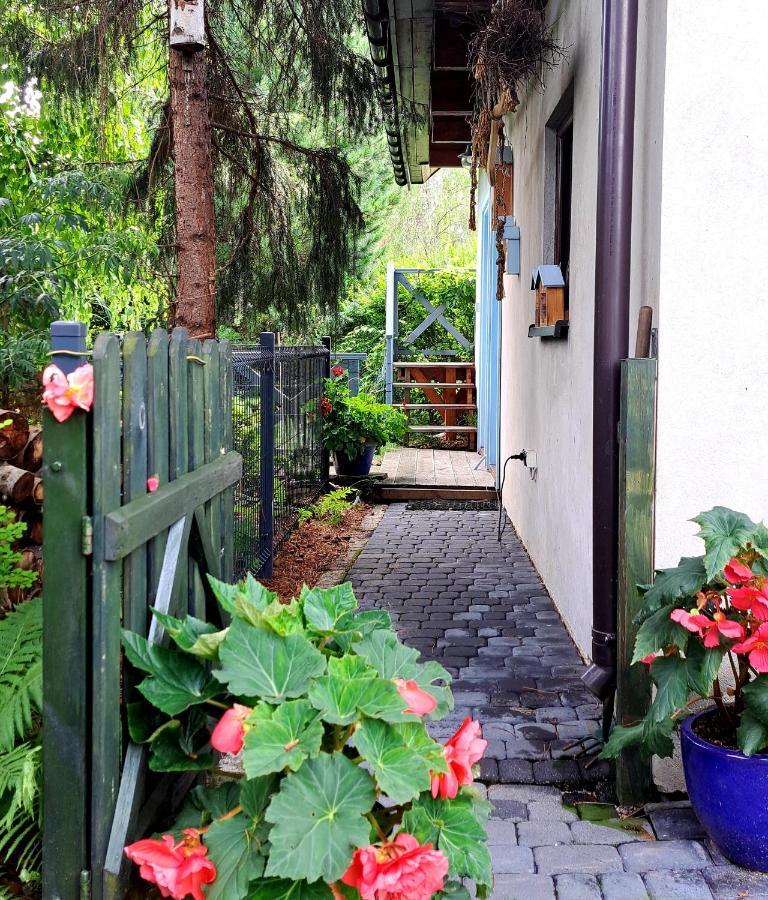 Apartament Drozdzikowka Żywiec المظهر الخارجي الصورة