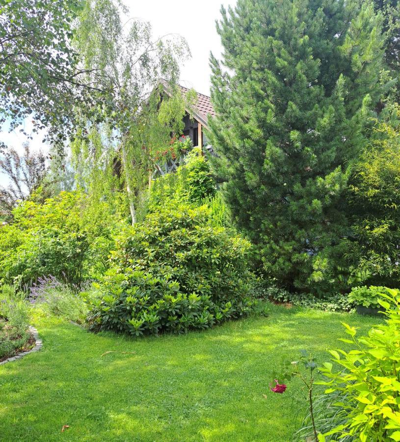 Apartament Drozdzikowka Żywiec المظهر الخارجي الصورة